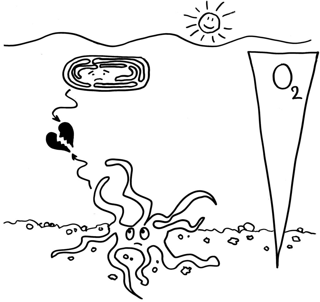 Karikatur einer anaeroben Archaeen-Zelle und eines aeroben Bakteriums im Meer, die nicht zueinander kommen können