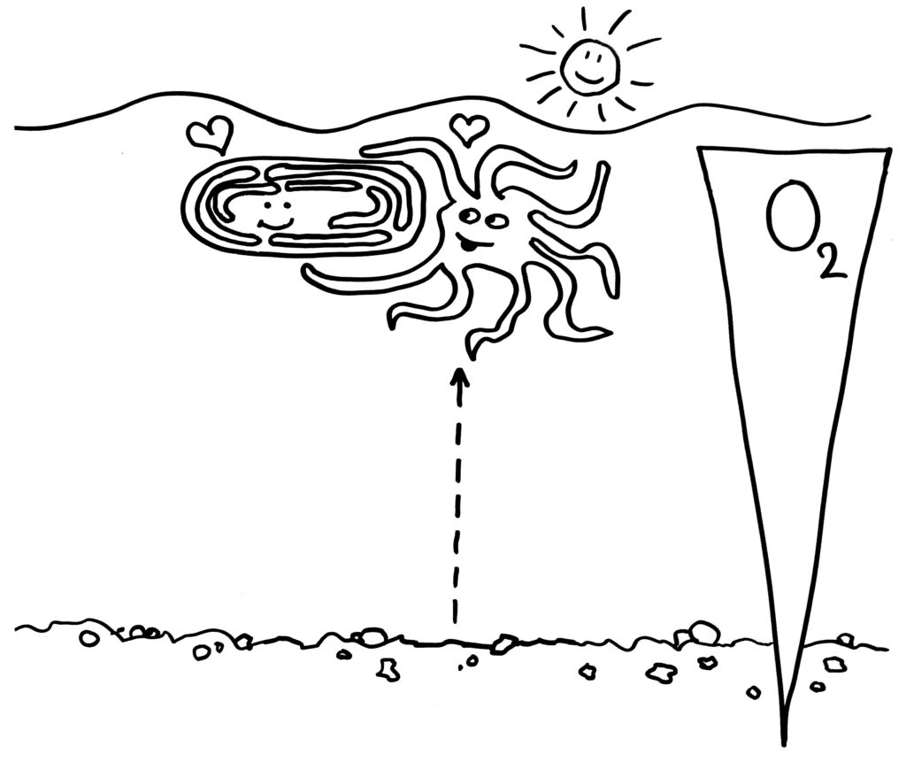 Karikatur: Die Aechaeen-Zelle ist den Sauerstoffgradient hinauf zum Bakterium gewandert.